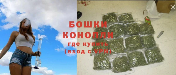 кокс Богородицк