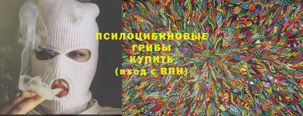 кокс Богородицк