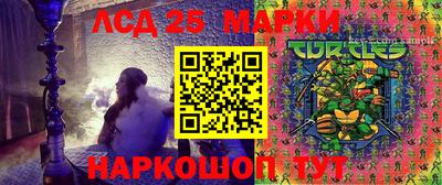молекула духа Заволжье