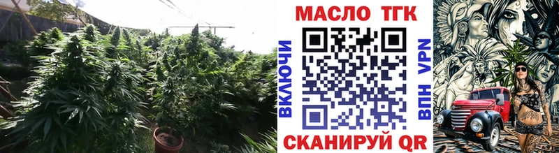 ТГК Wax  Боровичи 