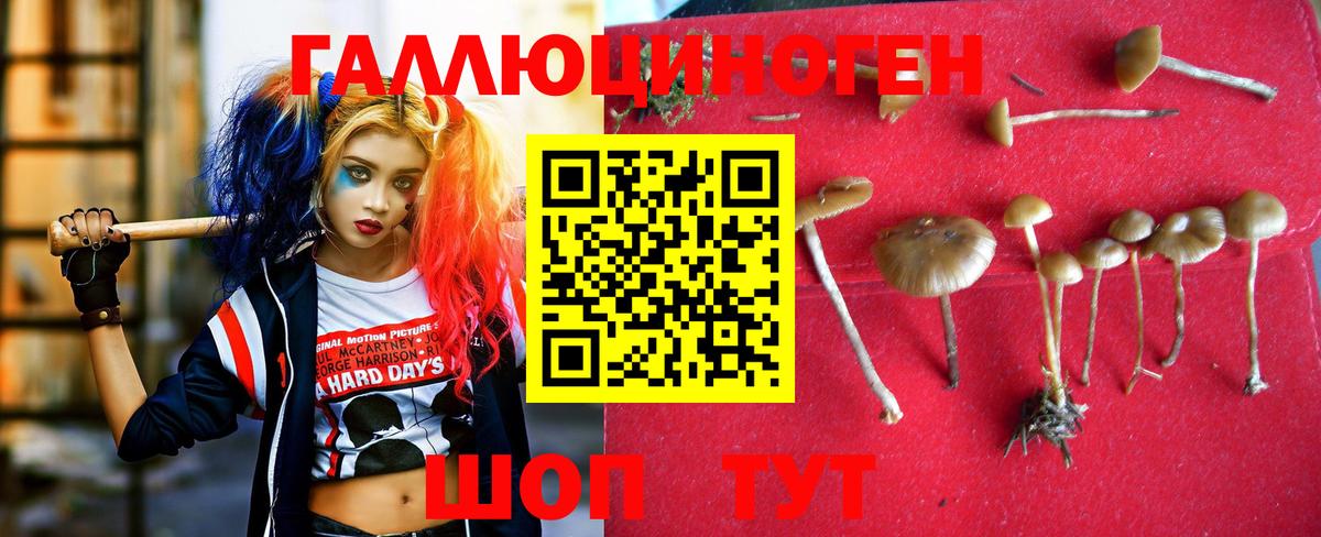 Галлюциногенные грибы Magic Shrooms Боровичи