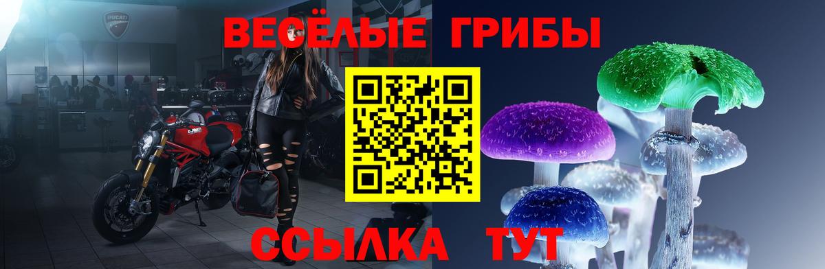 Псилоцибиновые грибы Psilocybine cubensis  Вход с VPN  Псилоцибиновые грибы мухоморы  Боровичи 