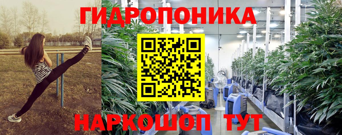 Бошки марихуана THC 21% Боровичи